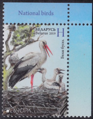 20191115.jpg