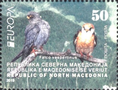 20191116_0006.jpg