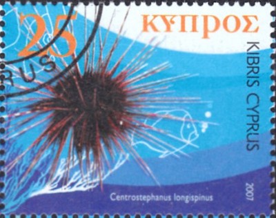 20191119_0003.jpg