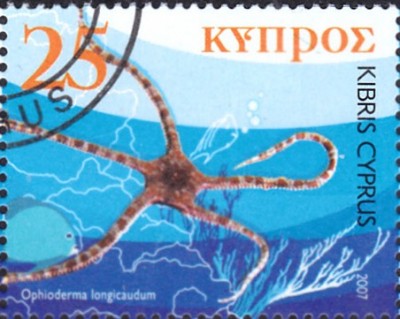 20191119_0006.jpg