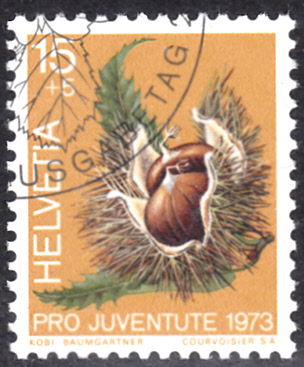 20191124.jpg