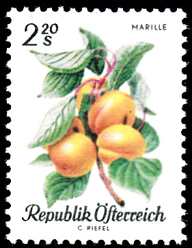 Früchte_0005.jpg