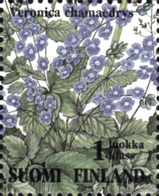 20191201_0012.jpg