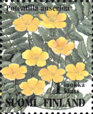 20191201_0015.jpg