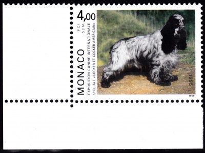 20191205.jpg