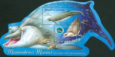 neuCaledonie-1.jpg