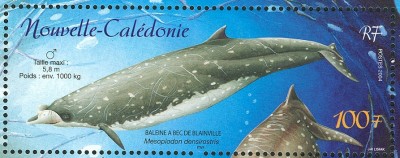 neuCaledonie-1a.jpg
