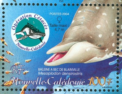 neuCaledonie-1b.jpg