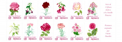 20191217_0015.jpg (1.57 MiB) 910-mal betrachtet 20191217_0015.jpg