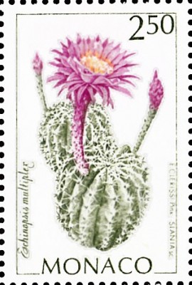 20191227.jpg