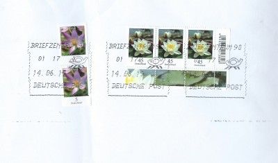585a.jpg