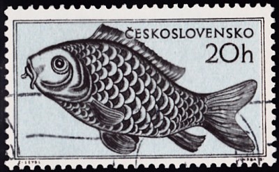 20200106.jpg