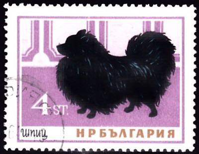 20200107.jpg