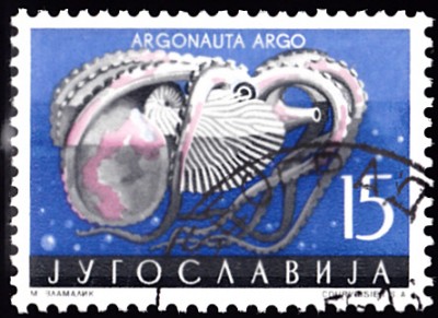 20200113.jpg