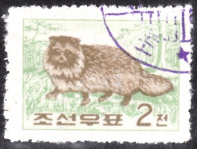 20200122.jpg