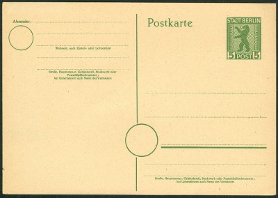 berlinerbärP3c-1.jpg
