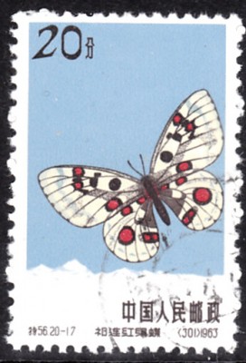 20200223.jpg