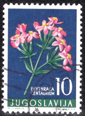 20200228.jpg