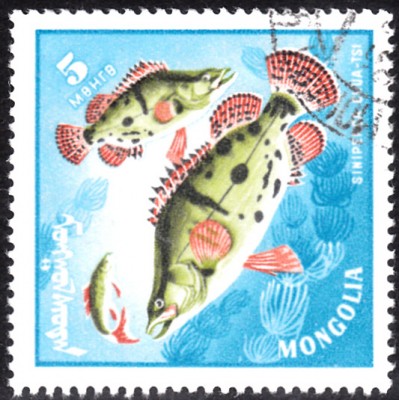 20200301.jpg
