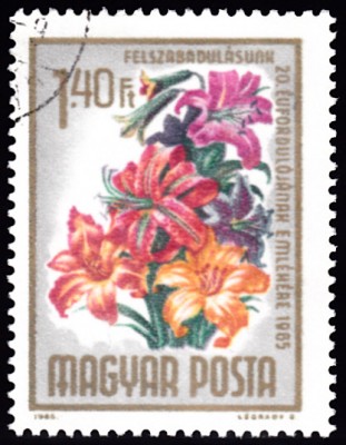 20200308.jpg