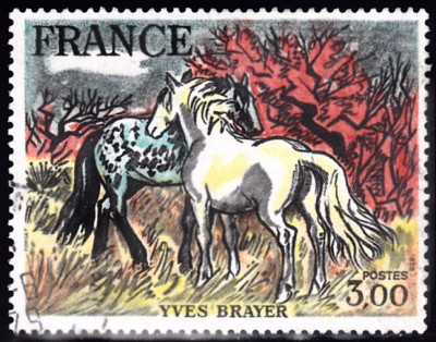 20200422.jpg