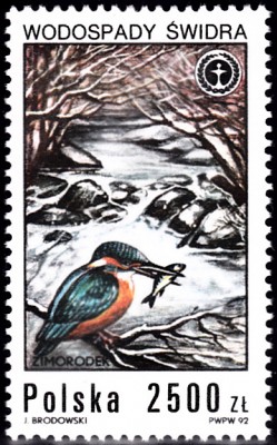 20200426.jpg