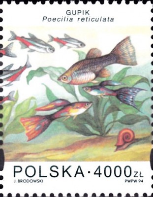 20200426_0007.jpg