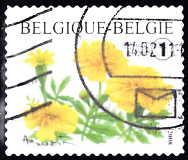 20200430.jpg