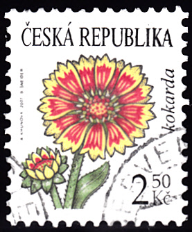 20200501.jpg