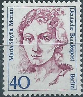 145d.jpg