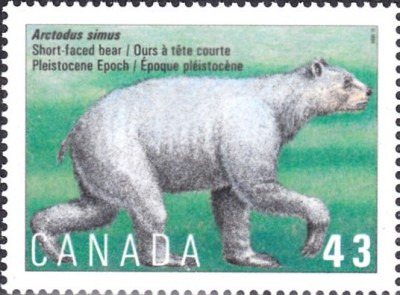 20200514.jpg