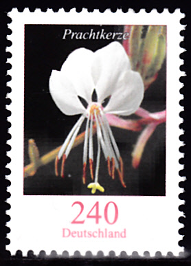 20200524.jpg