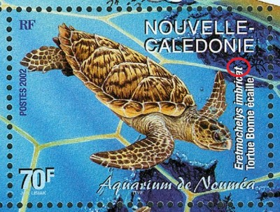 neuCaledonie-2c1.jpg