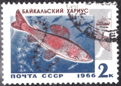 20200623.jpg