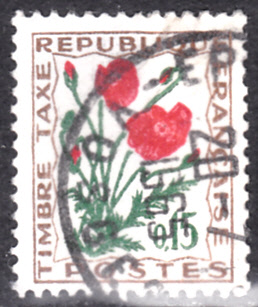 20200803.jpg