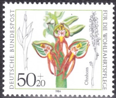 20200816.jpg
