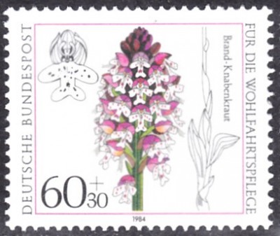 20200816_0001.jpg (69.01 KiB) 327-mal betrachtet 20200816_0001.jpg