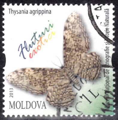 20200824.jpg