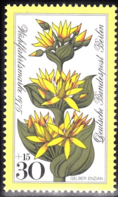 20200825.jpg