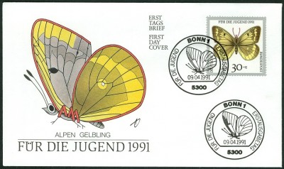 Tagfalter_AlpenGelbling_3.jpg