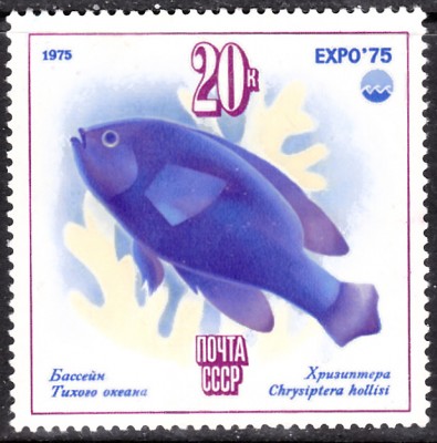 20201008_0009.jpg