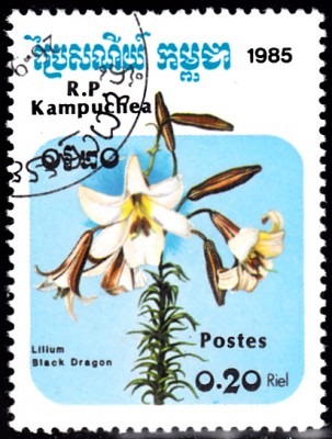 20201009.jpg