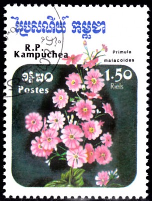 20201009_0004.jpg