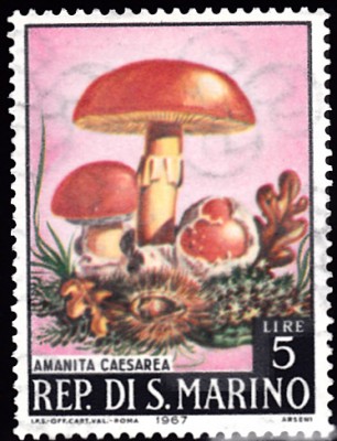 20201020.jpg