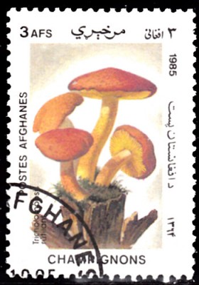 20201024.jpg