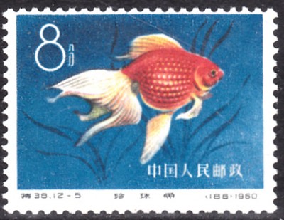 20201106_0009.jpg