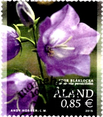 20201107_0000.jpg