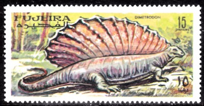 20201110.jpg