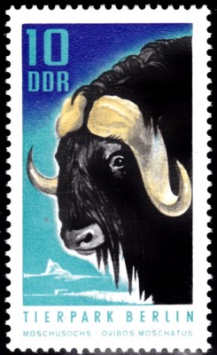 20201126.jpg