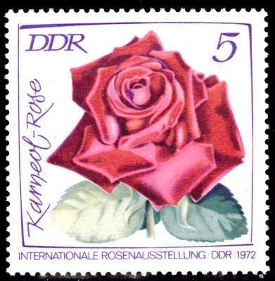 20201126_0010.jpg